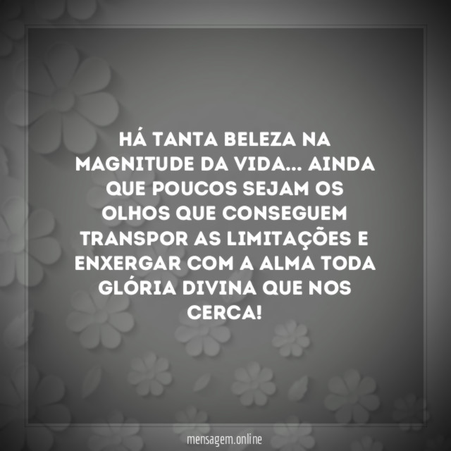 Há tanta beleza na magnitude da vida