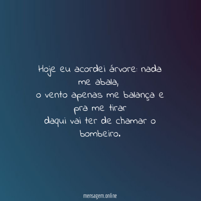 Hoje eu acordei árvore