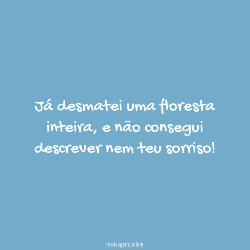 Já desmatei uma floresta inteira
