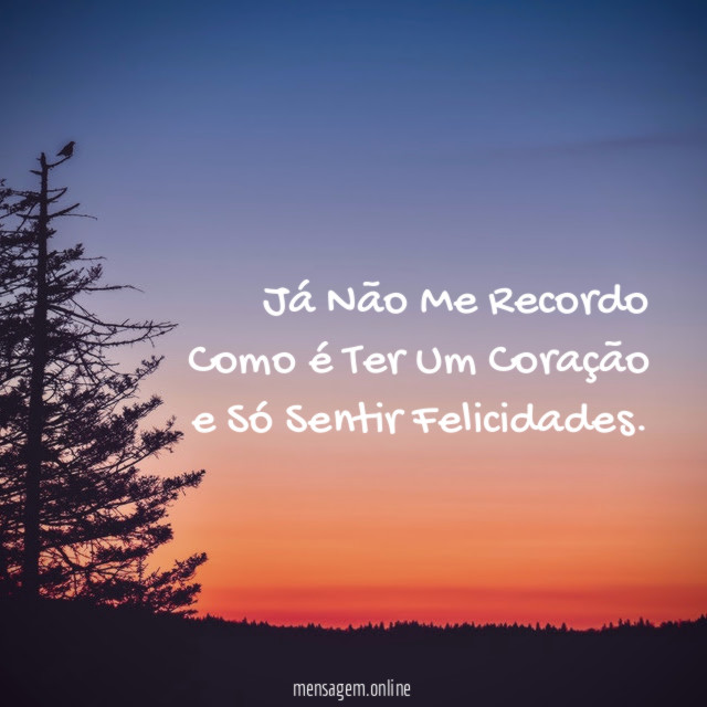 Já Não Me Recordo Como é Ter Um