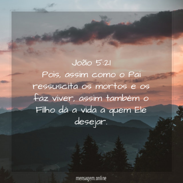 João 5