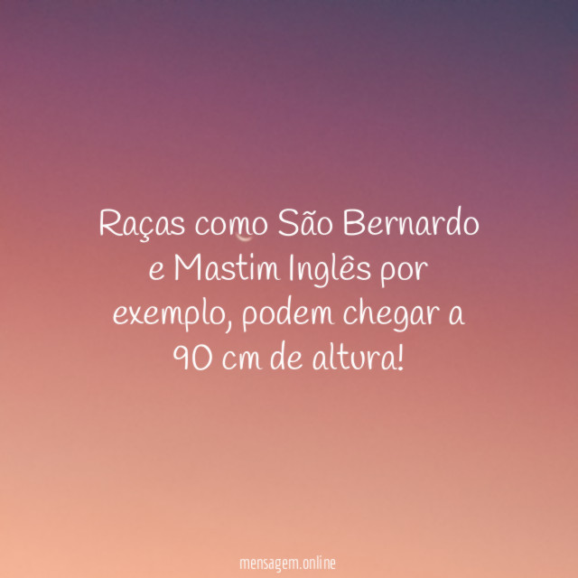 Lá do Alto