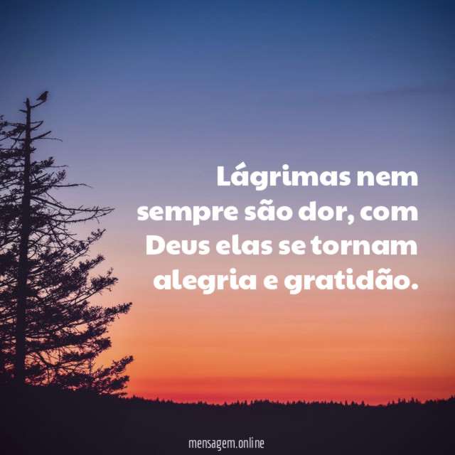Lágrimas nem sempre são dor