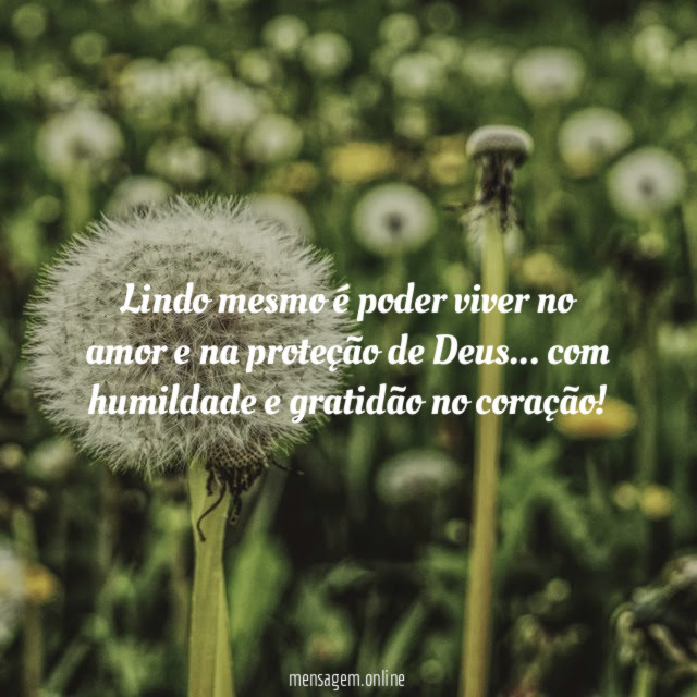 Lindo mesmo é poder viver no amor e na proteção de Deus
