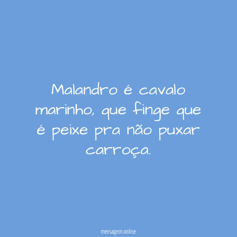 Malandro é cavalo marinho