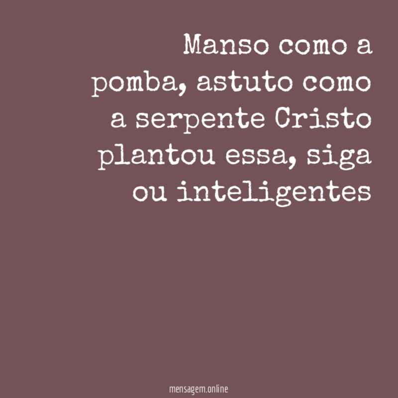Manso como a pomba
