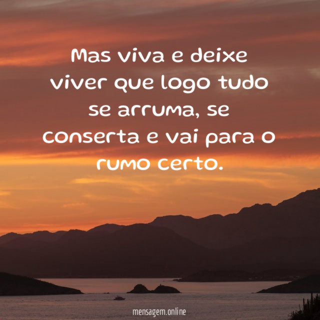 Mas viva e deixe viver que logo tudo se arruma