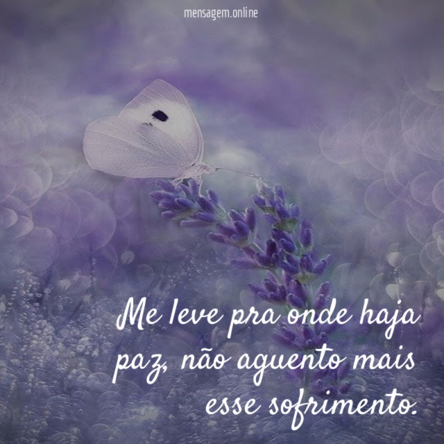 Me leve pra onde haja paz