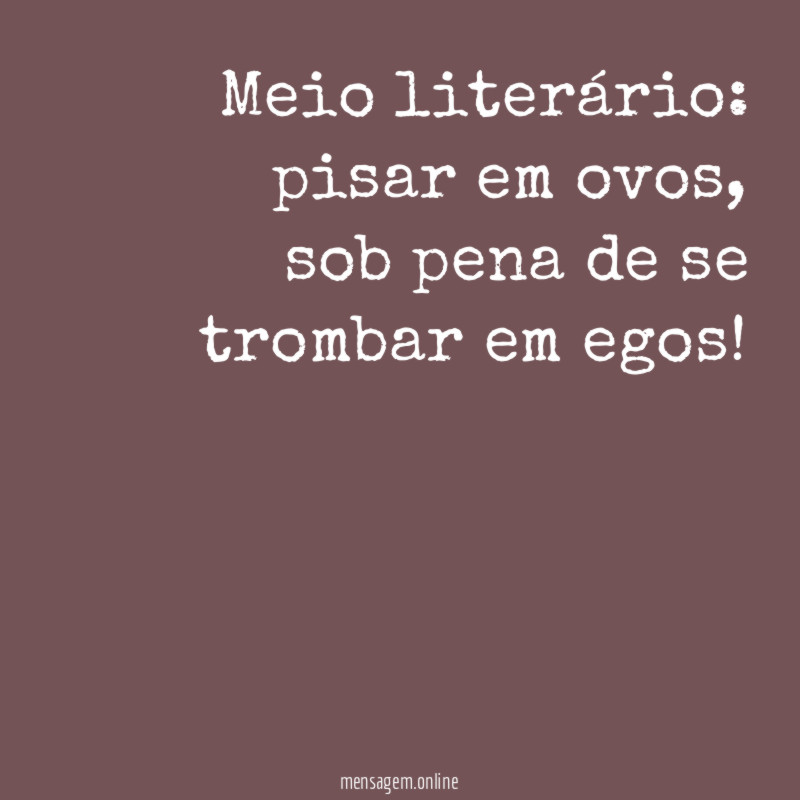 Meio literário