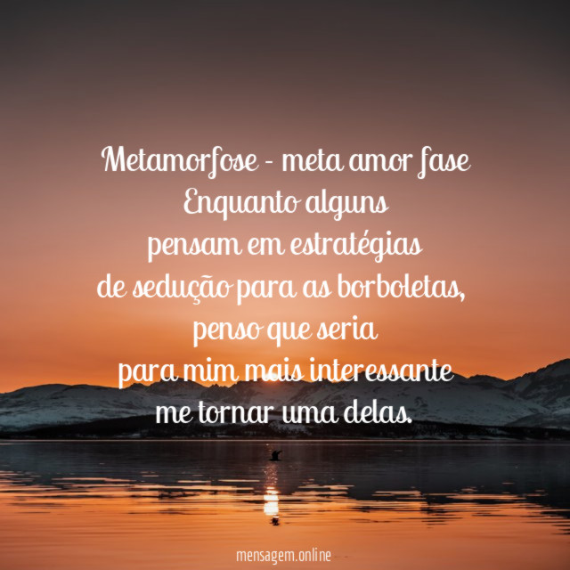 metamorfose - meta amor fase