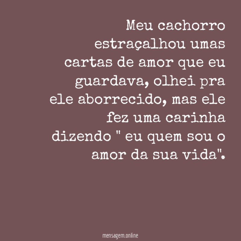 Meu cachorro estraçalhou umas cartas de amor que eu guardava
