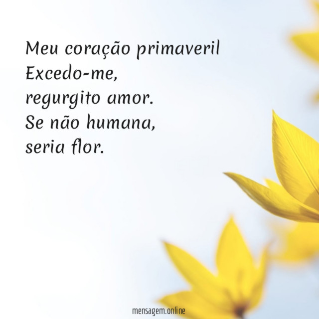 Meu coração primaveril
