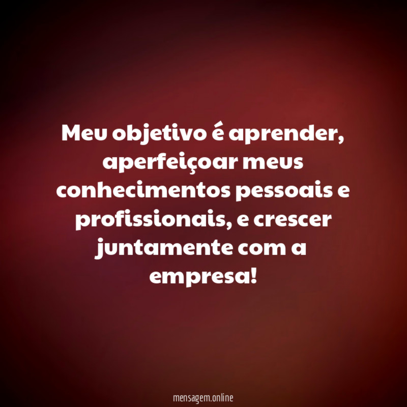 Meu objetivo é aprender