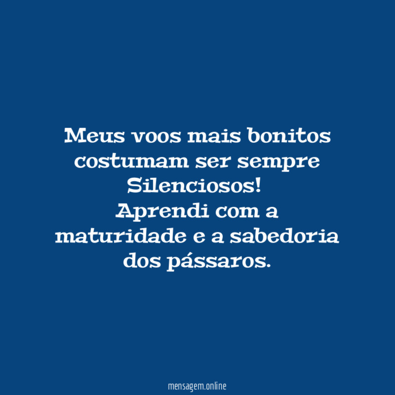 Meus voos mais bonitos costumam ser sempre Silenciosos