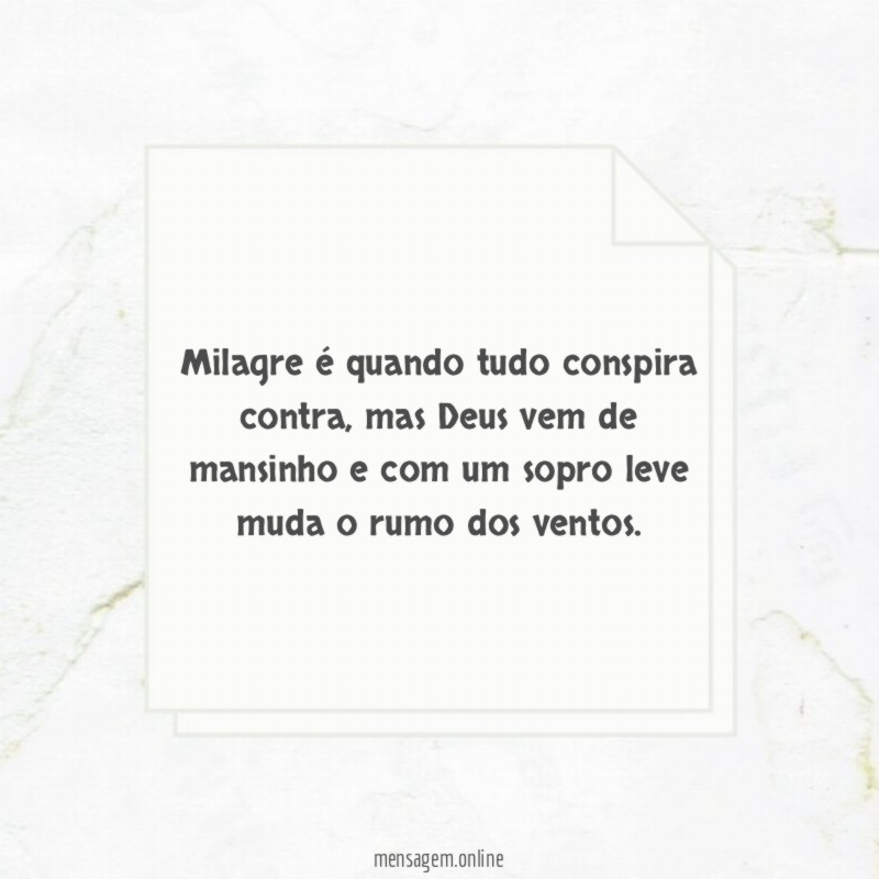 Milagre é quando tudo conspira