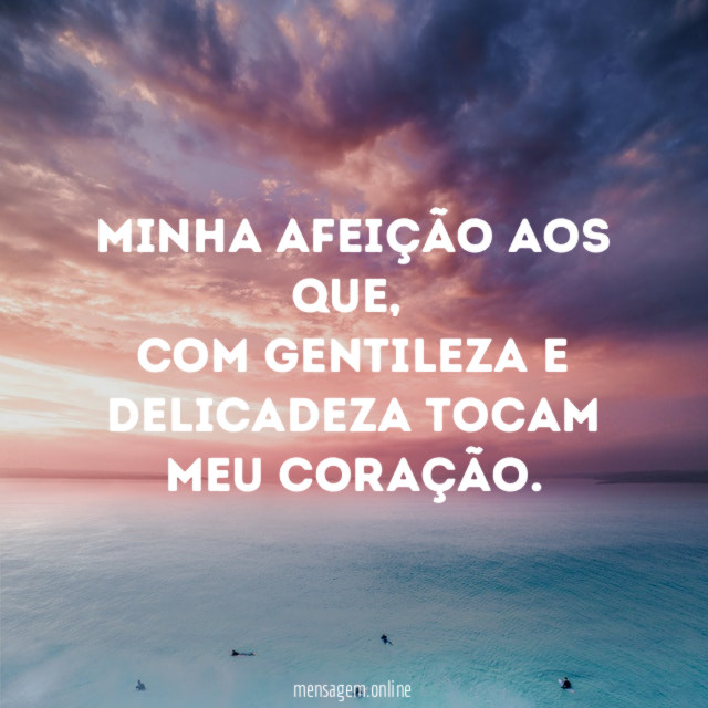 Minha afeição aos que