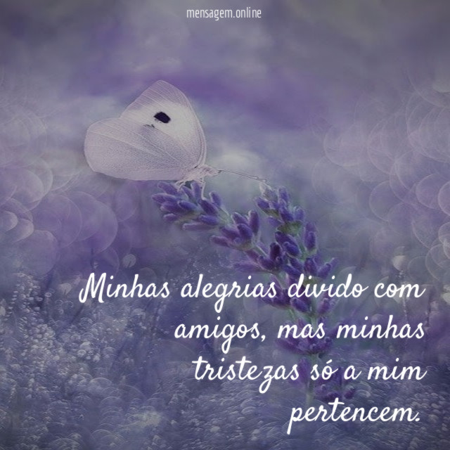 Minhas alegrias divido com amigos