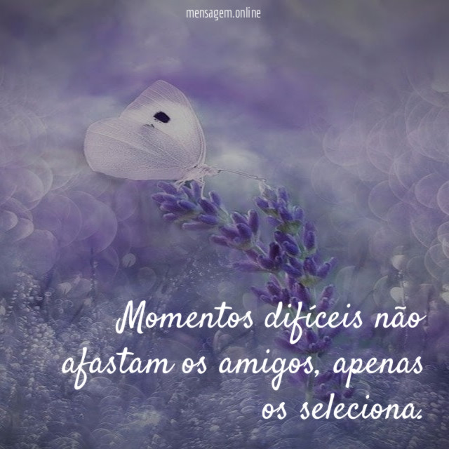 Momentos difíceis não afastam os amigos