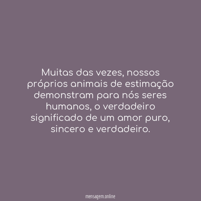 Muitas das vezes