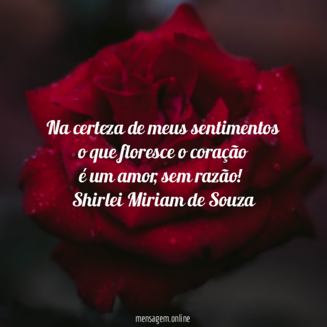 Na certeza de meus sentimentos o que floresce