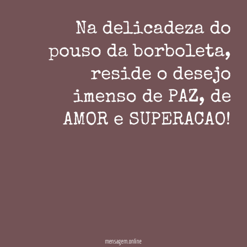 Na delicadeza do pouso da borboleta