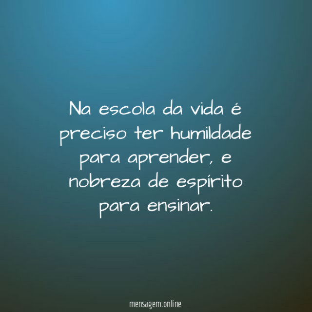 Na escola da vida é preciso ter humildade para aprender