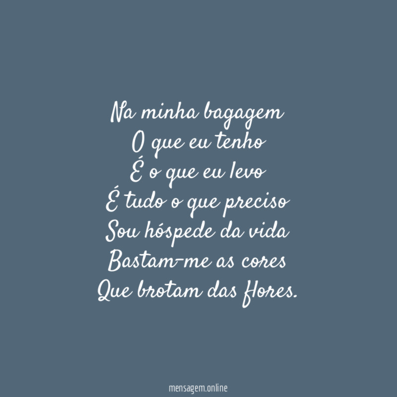 Na minha bagagem O que eu tenho É o que