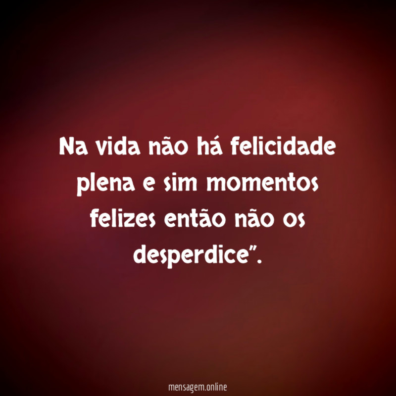 Na vida não há felicidade plena