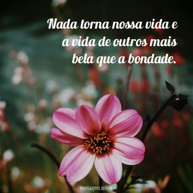 Nada torna nossa vida e a vida de