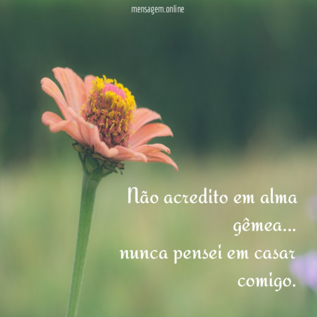 Não acredito em alma gêmea