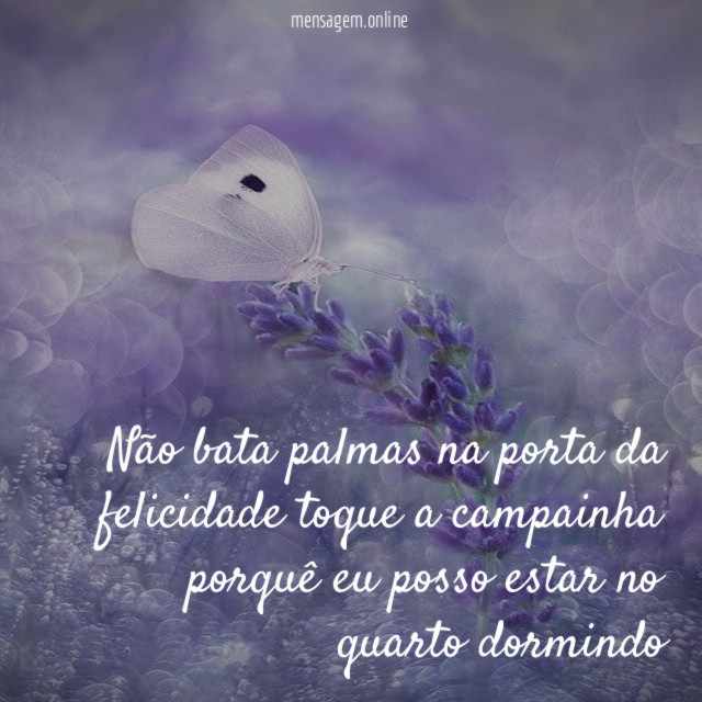 não bata palmas na porta da felicidade toque