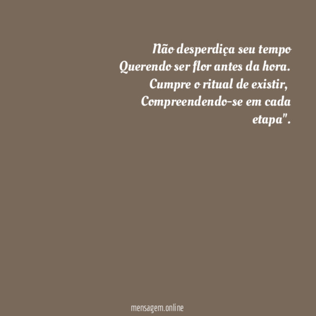 Não desperdiça seu tempo Querendo ser flor antes da hora