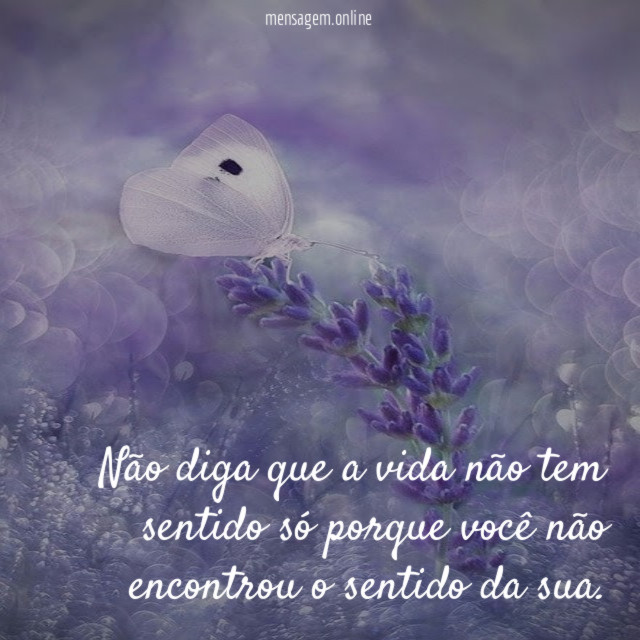 Não diga que a vida não tem sentido