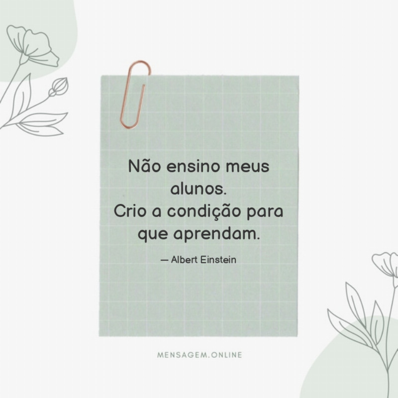 Não ensino meus alunos