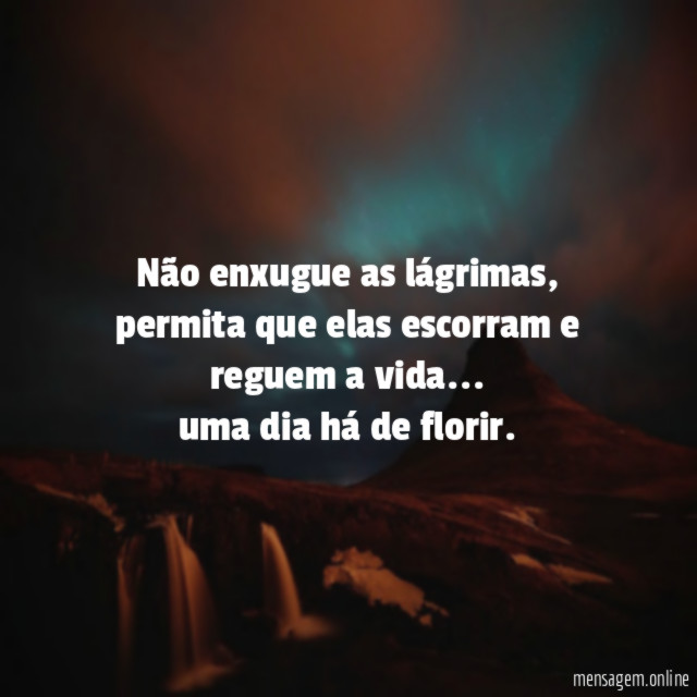 Não enxugue as lágrimas