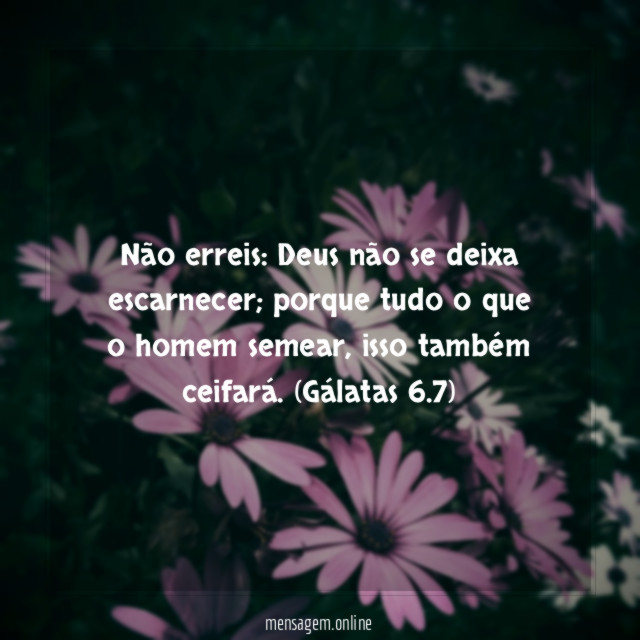 Não erreis