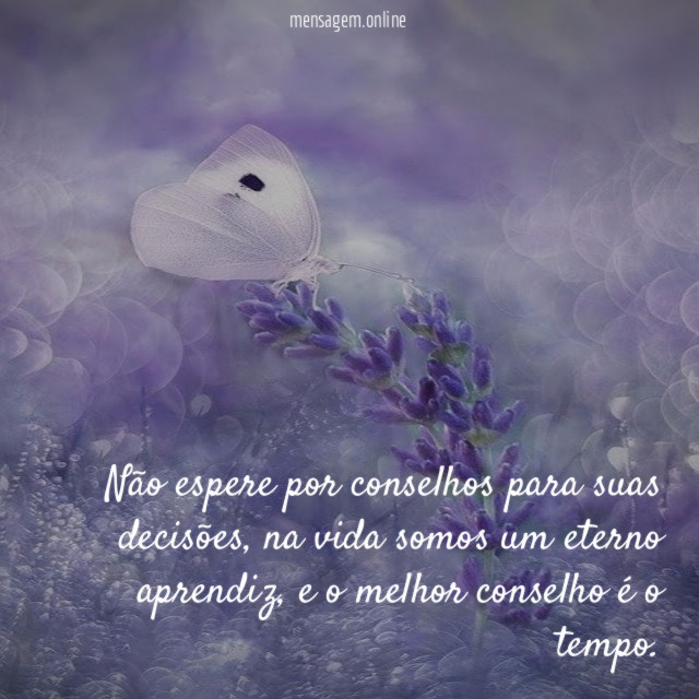Não espere por conselhos para suas decisões