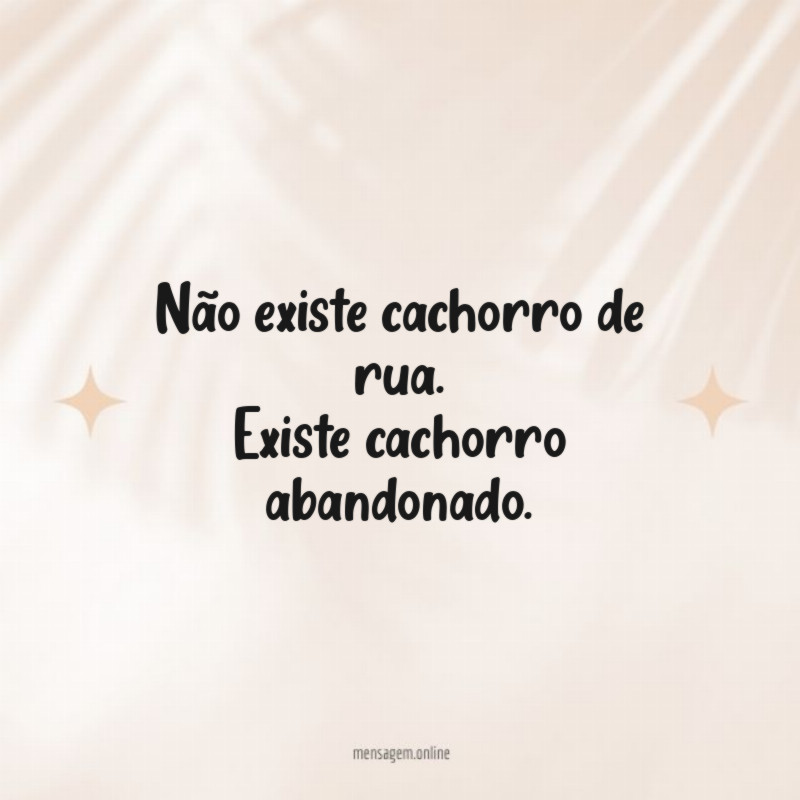 Não existe cachorro de rua