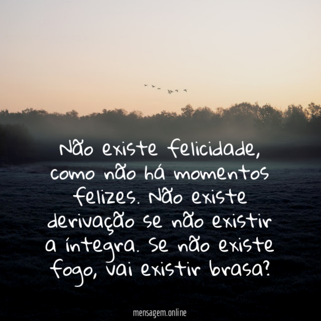 Não existe felicidade