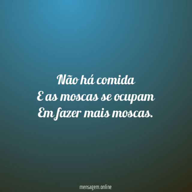 Não há comida E as moscas se ocupam Em fazer