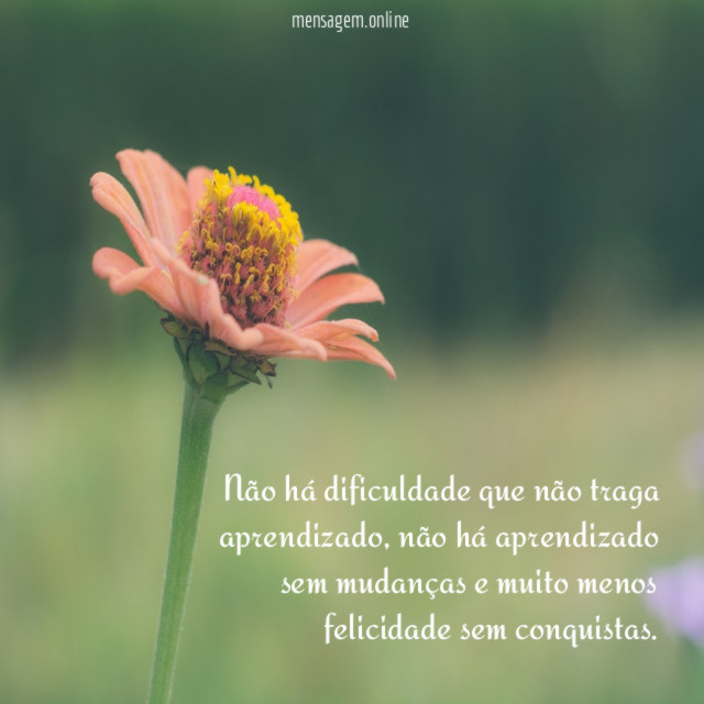 Não há dificuldade que não traga aprendizado