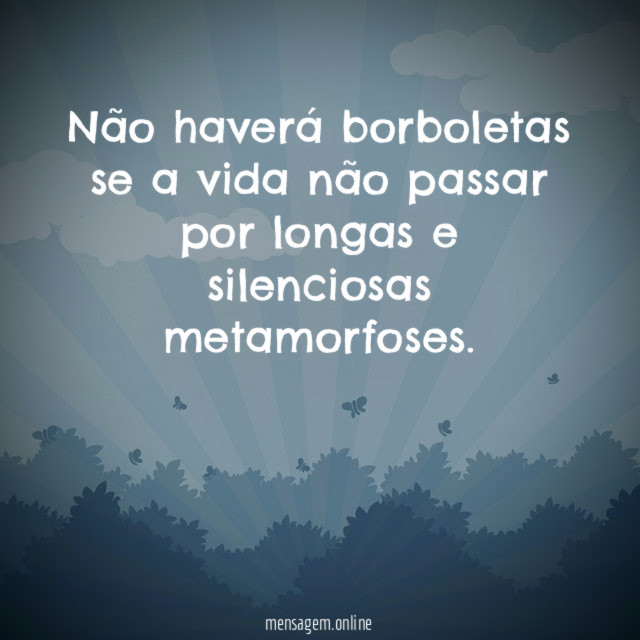 Não haverá borboletas se a vida não passar