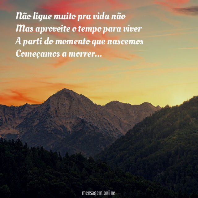Não ligue muito pra vida não Mas aproveite