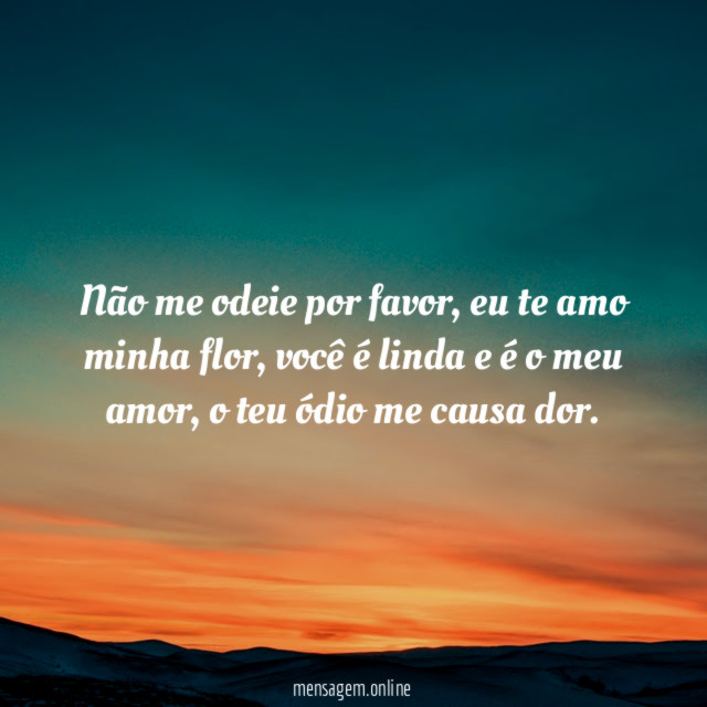 Não me odeie por favor