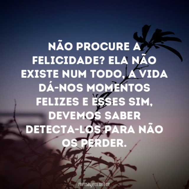 Não procure a felicidade