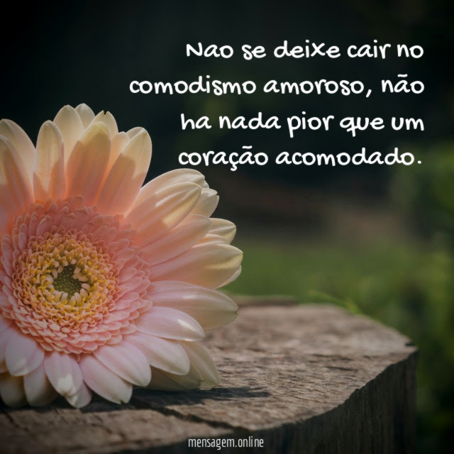 Nao se deixe cair no comodismo amoroso