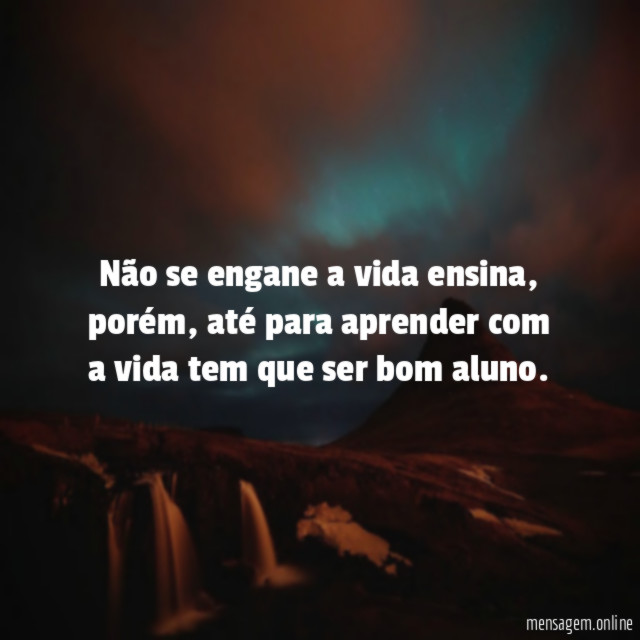 Não se engane a vida ensina