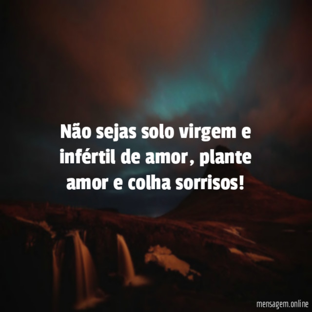Não sejas solo virgem e infértil de amor