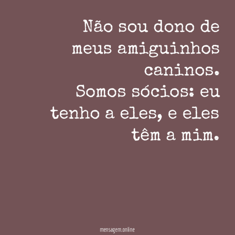 Não sou dono de meus amiguinhos caninos