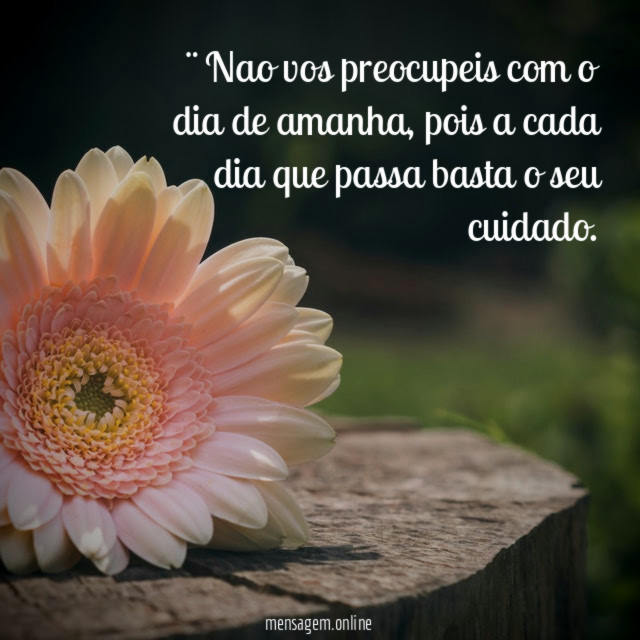 ¨Nao vos preocupeis com o dia de amanha